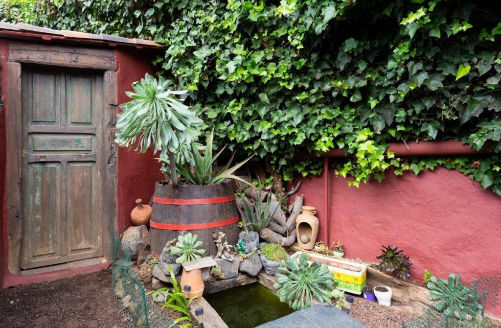 דירות לה אורוטבה Casa Florida מראה חיצוני תמונה